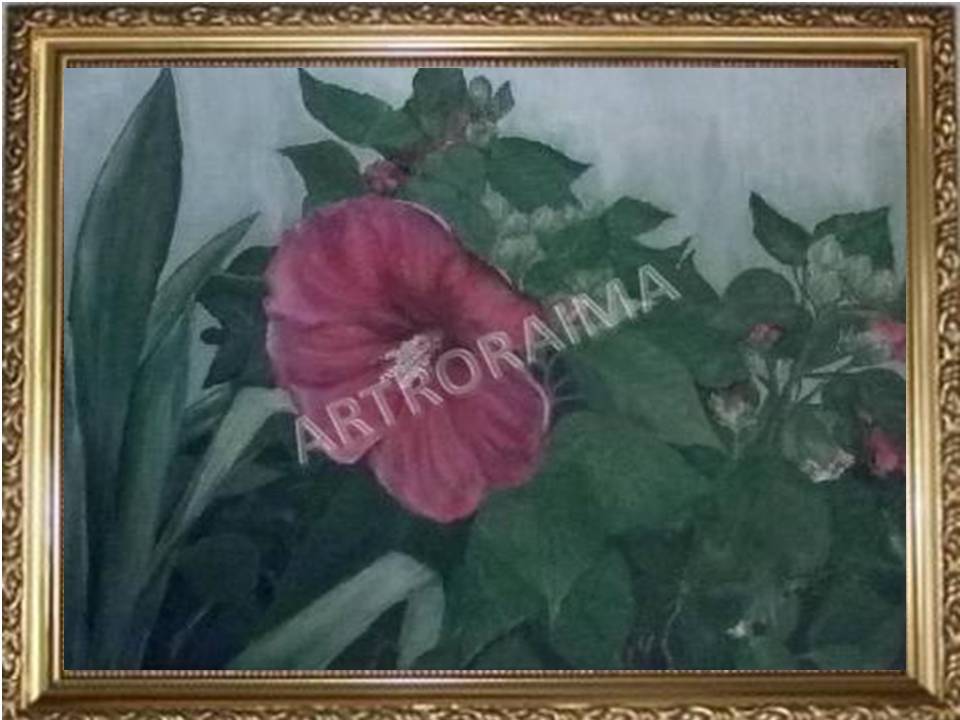 Red Hybrid Hibiscus - Acrylic