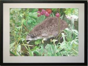Raccoon in the Garden - Acrylic