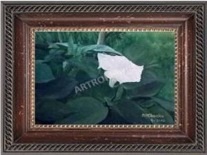 White Datura - Acrylic